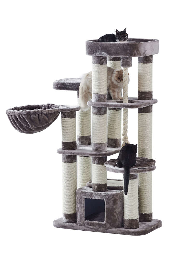 Nobby Kratzbaum FREDO